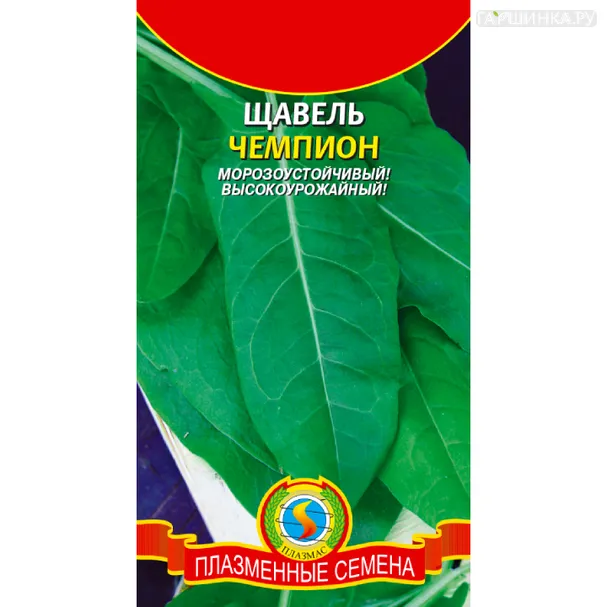 Щавель Чемпион ц.п., Плазменные семена