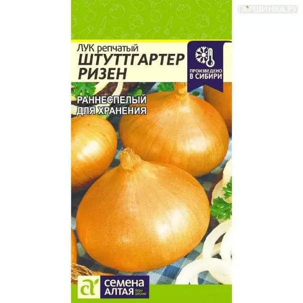 Лук Штутгартер Ризен 1гр ЦП