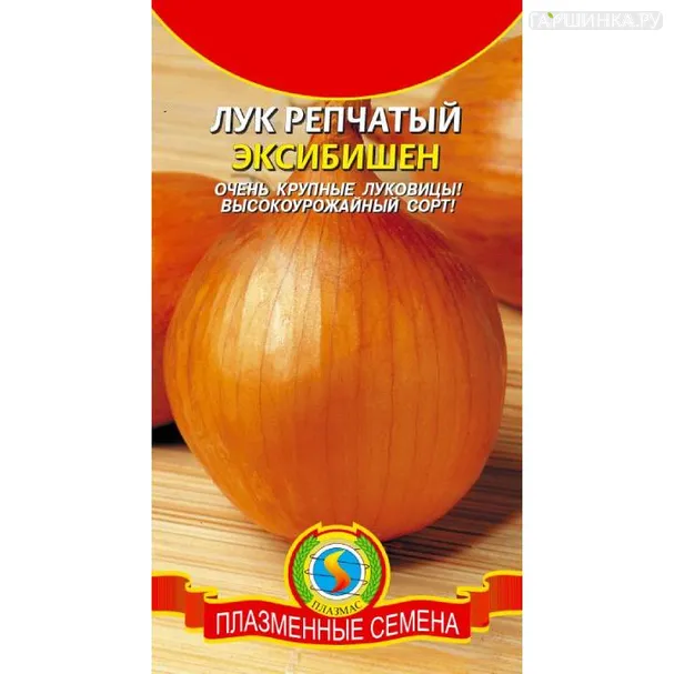 Лук репчатый Эксибишен 50шт