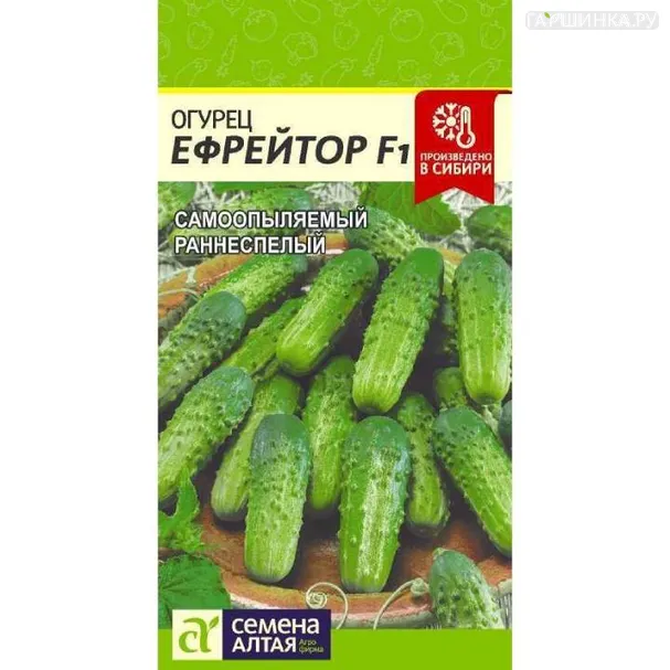 Огурец Ефрейтор F1 5шт ЦП