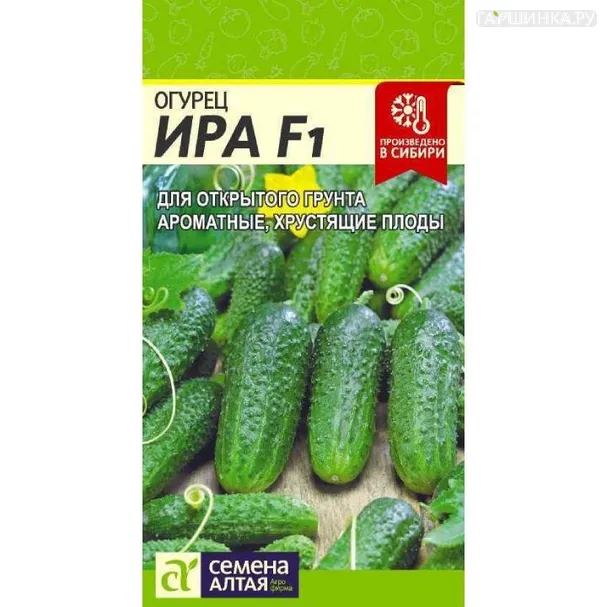 Огурец Ира F1 0,3гр ЦП