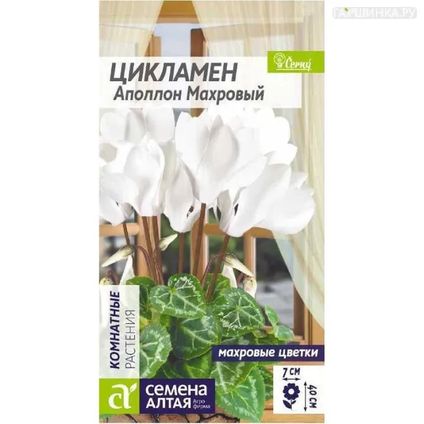 Цикламен Аполлон  3шт ЦП