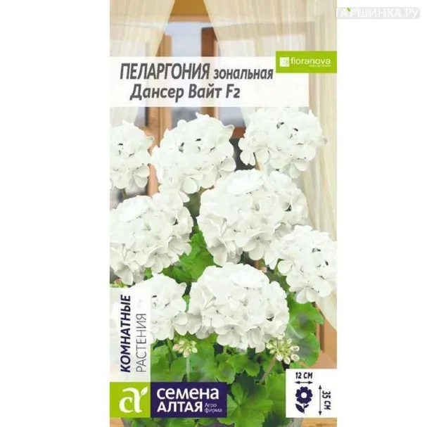 Пеларгония Дансер Вайт 4шт ЦП