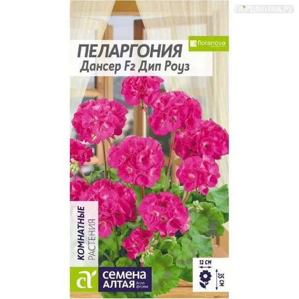 Пеларгония Дансер Дип Роуз 4шт ЦП