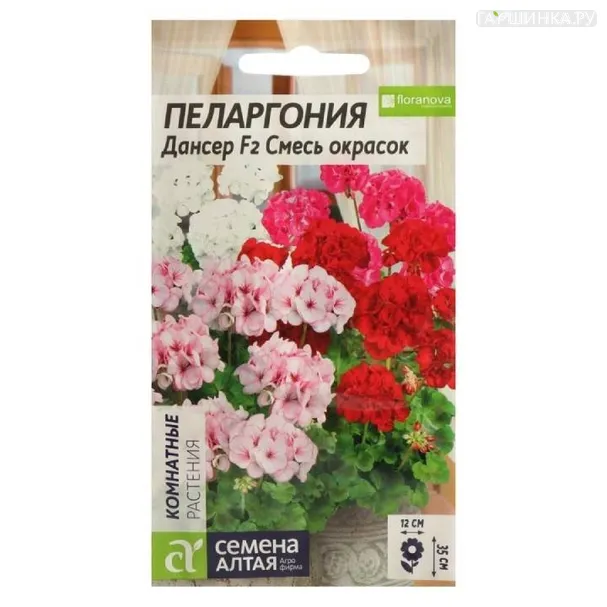 Пеларгония Дансер Смесь окрасок 4шт ЦП
