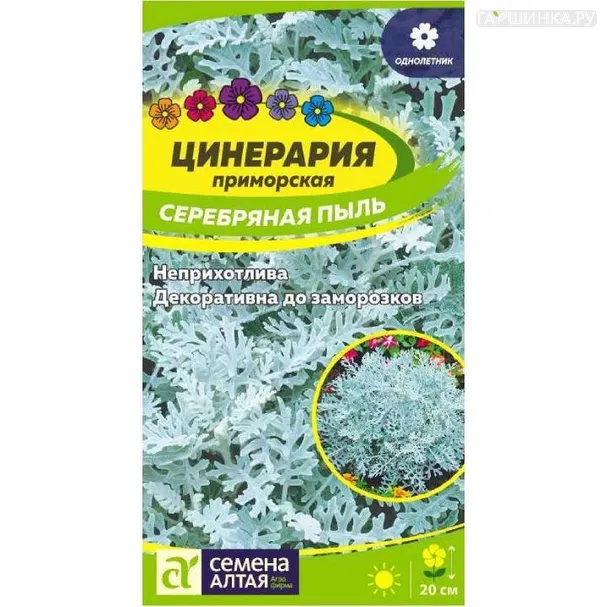 Цинерария Серебряная пыль 0,1гр ЦП