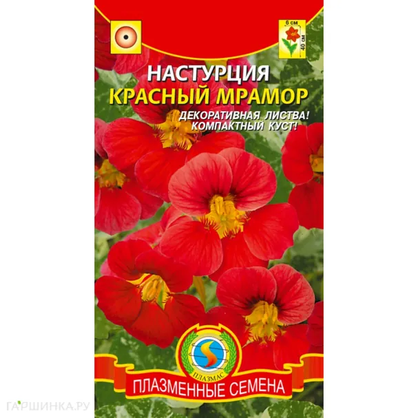 Настурция Красный мрамор ц.п. 6 шт