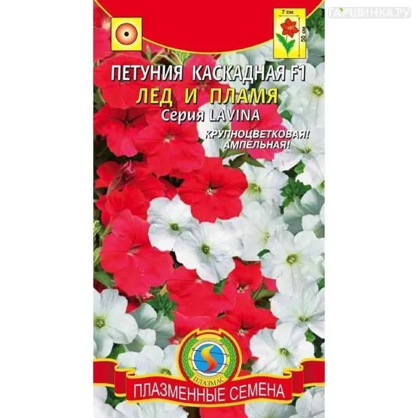 Петуния Лед и пламя каскадная ц.п.