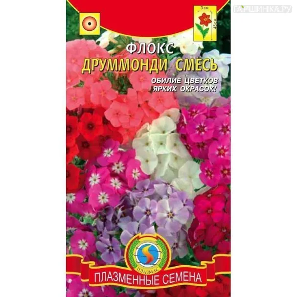 Флокс Друммонди смесь ц.п. 0,2 гр