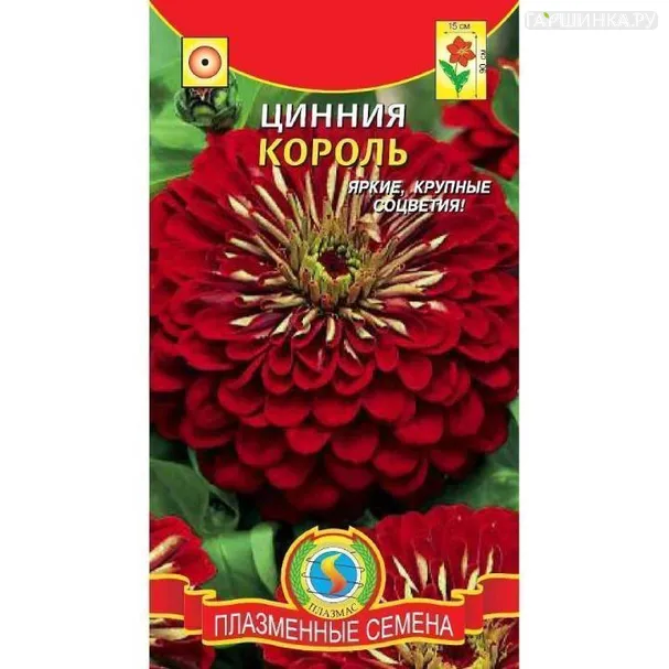 Цинния Король красная ц.п. 0,3 гр