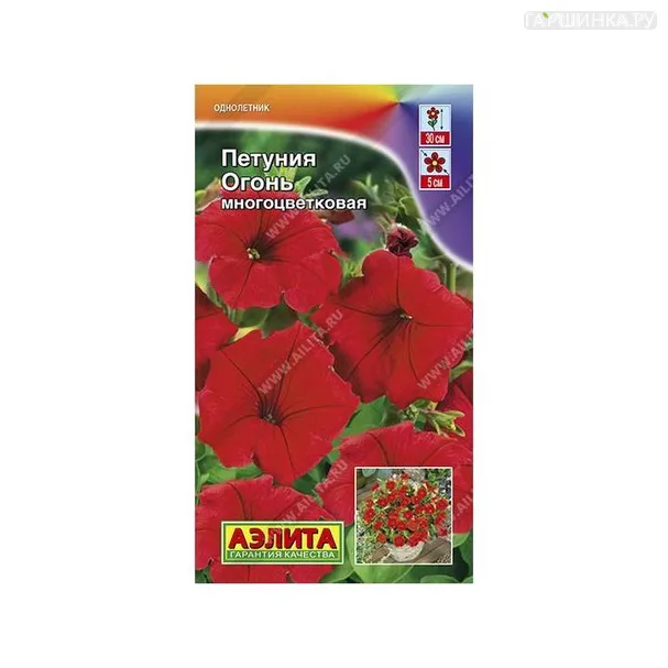 Петуния Огонь 0,1гр ц.п