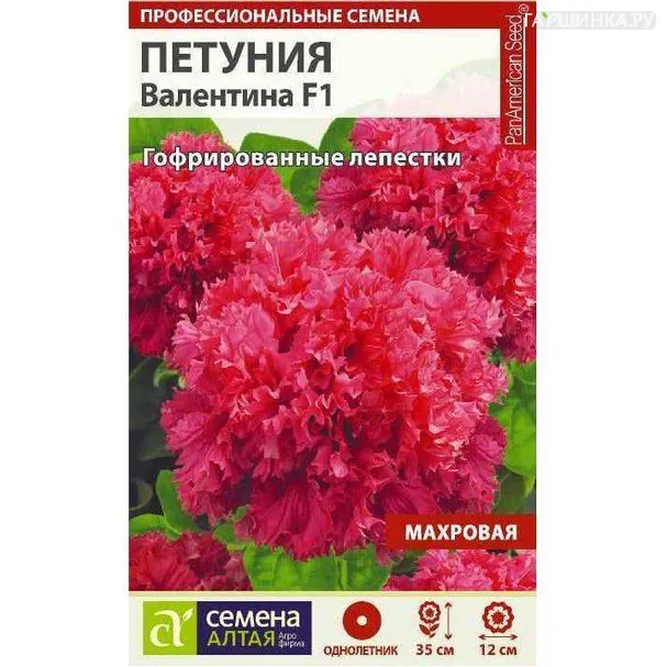 Петуния Валентина F1 10шт ЦП