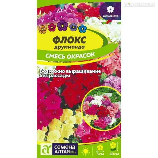 Флокс Смесь друммонда 0,1гр ЦП