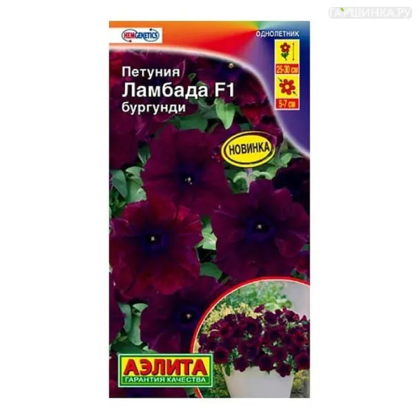Петуния Ламбада F1 бургунди  7шт ЦП