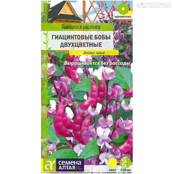 Гиацинтовые бобы Двухцветные 1гр