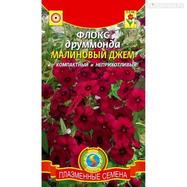 Флокс Малиновый джем ц.п. 0,1 гр