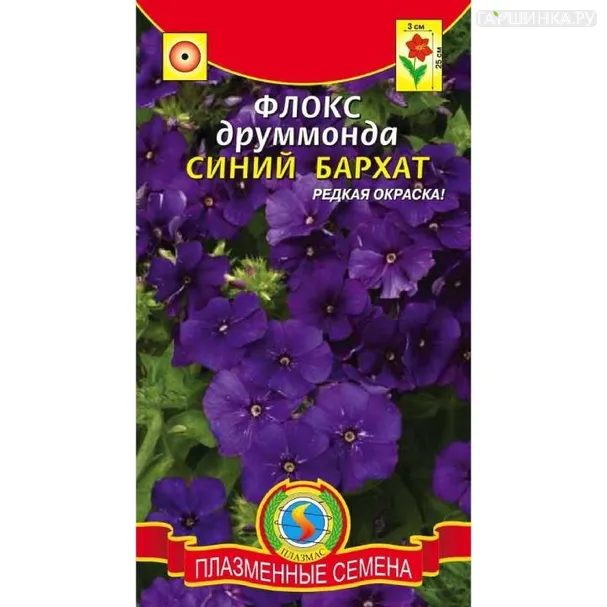 Флокс Синий бархат ц.п. 0,1 гр