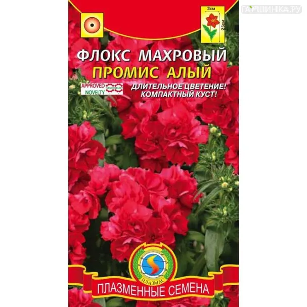 Флокс Промис Алый ц.п. 5шт.