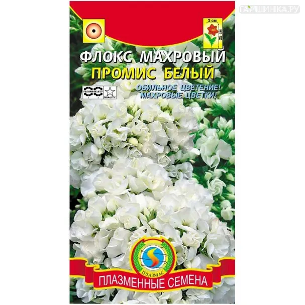 Флокс Промис Белый ц.п. 5шт.