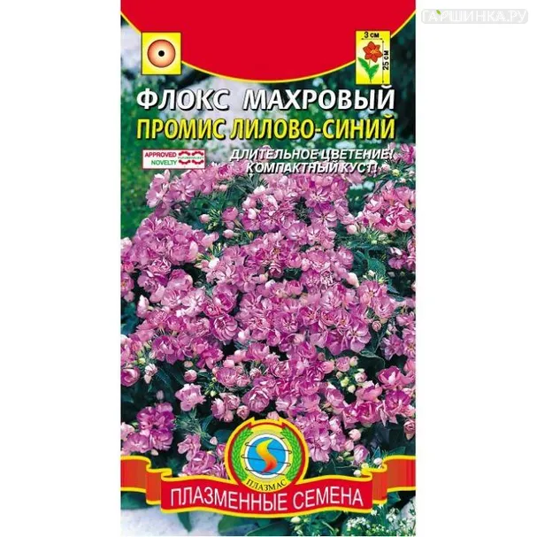 Флокс Промис Лилово-синий ц.п. 5шт.