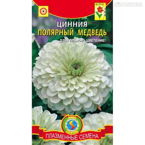 Цинния Полярный медведь ц.п. 0,3гр