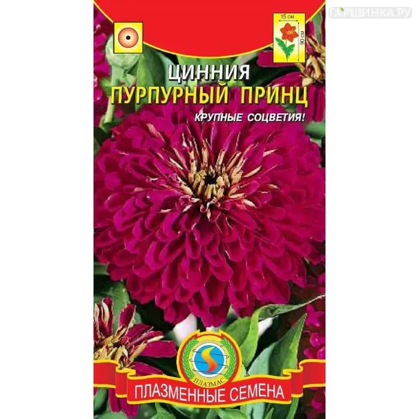 Цинния Пурпурный принц ц.п. 0,3гр