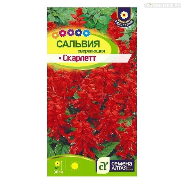 Сальвия Скарлет Сверкающая 0,1гр ЦП