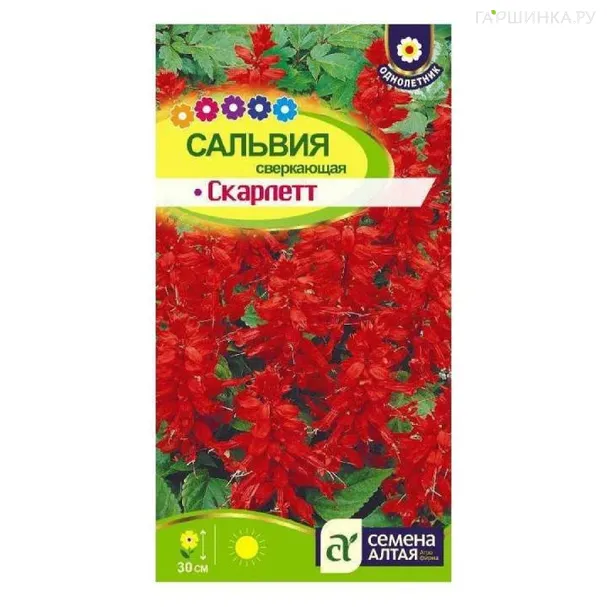 Сальвия Скарлет Сверкающая 0,1гр ЦП