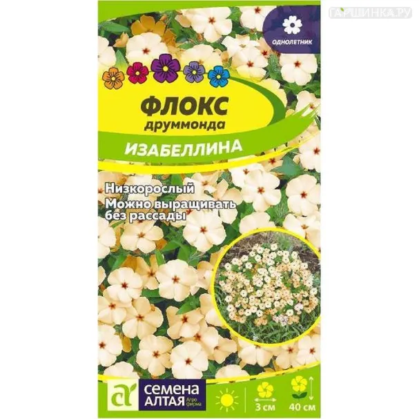 Флокс Изабеллина Друммонда 0,1гр ЦП
