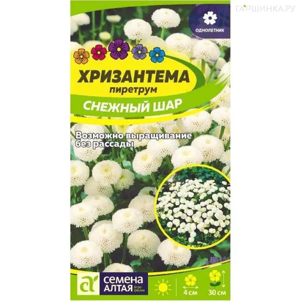 Хризантема Снежный шар  0,01гр ЦП