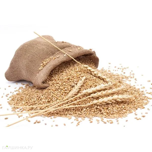 Пшеница 0,5 кг