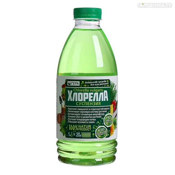 Суспензия Хлорелла