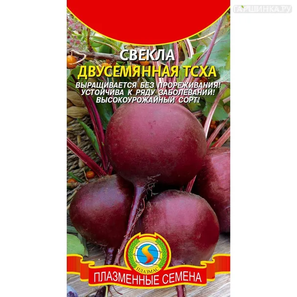 Свекла Двусемянная ТСХА ц.п.