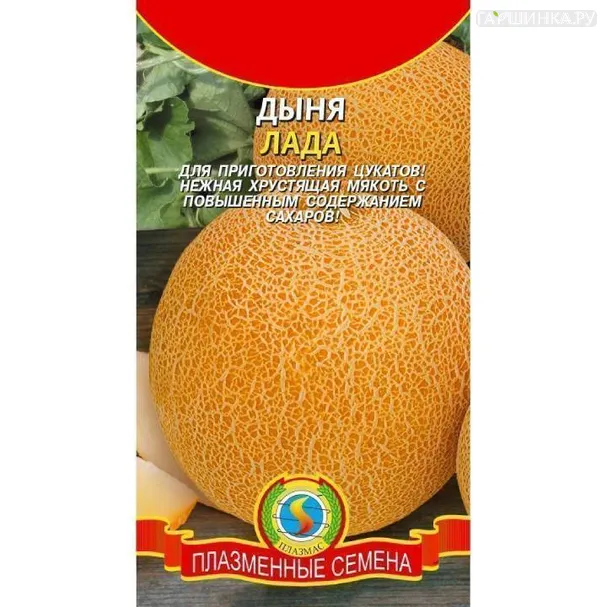 Дыня Лада ц.п. 1 гр