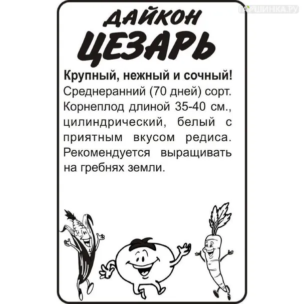 Дайкон (Редька китайская) Цезарь БП 1 г
