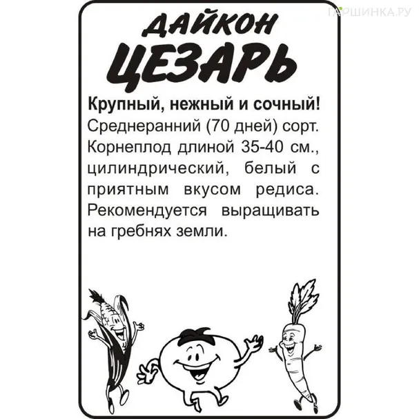 Дайкон (Редька китайская) Цезарь БП 1 г