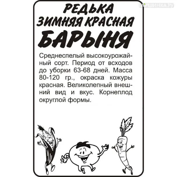 Редька Барыня Зимняя Красная  1гр БП
