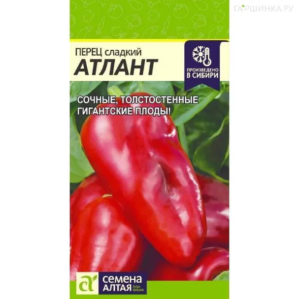 Перец Атлант 0,1 г ЦП