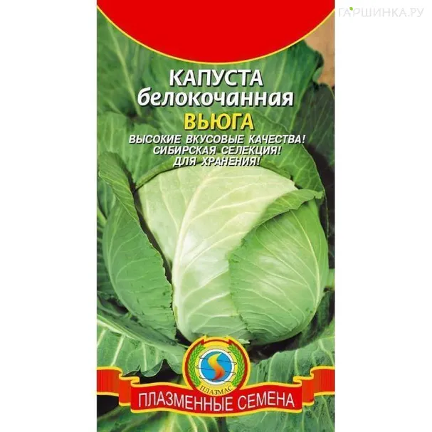 Капуста Вьюга белокочанная ц.п. 0,3 г, Плазменные семена