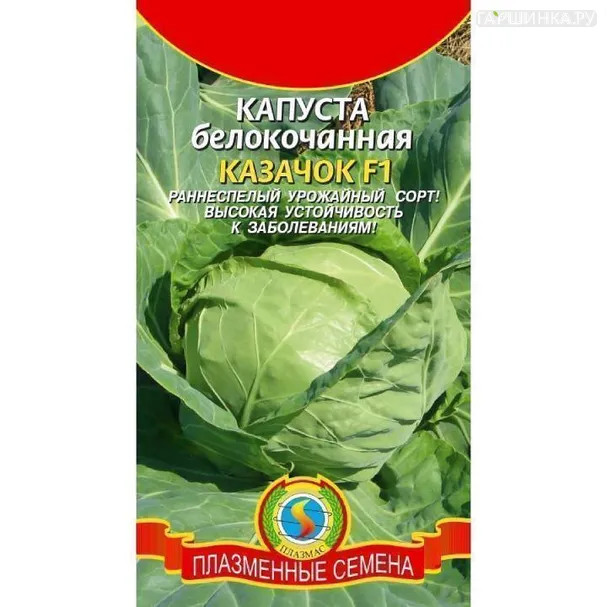 Капуста Казачок белокочанная 0,2 г ц/п Семена Плазмас