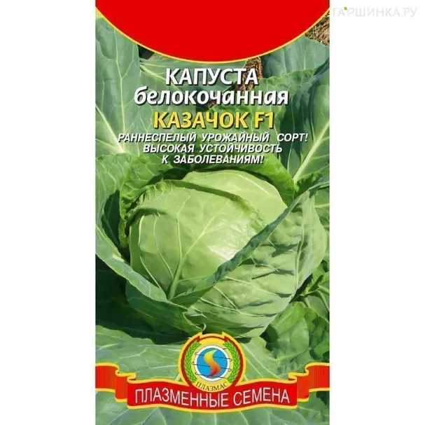 Капуста Казачок белокочанная 0,2 г ц/п Семена Плазмас
