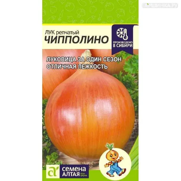 Лук Чипполино репчатый 1г ЦП Семена Алтая