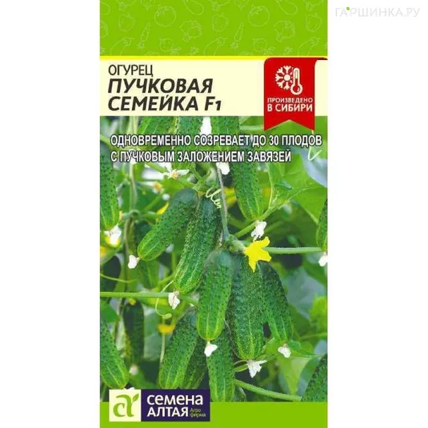 Огурец Пучковая Семейка   6шт ЦП