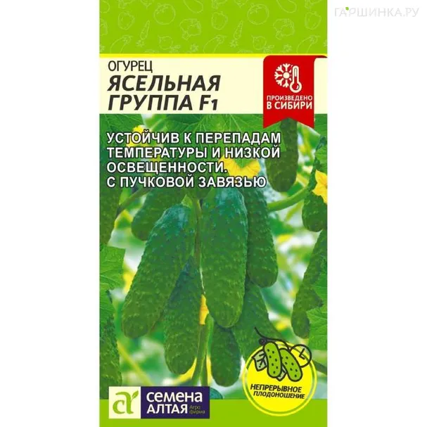 Огурец Ясельная группа   5шт  ЦП