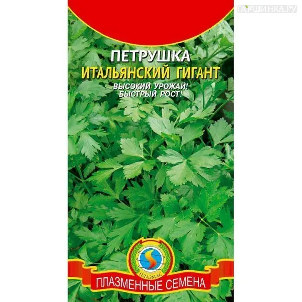 Петрушка Итальянский гигант листовая ЦП 2 г