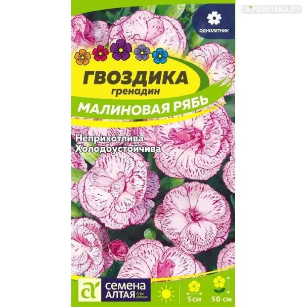 Гвоздика гренадин Малиновая рябь 0,2гр ЦП