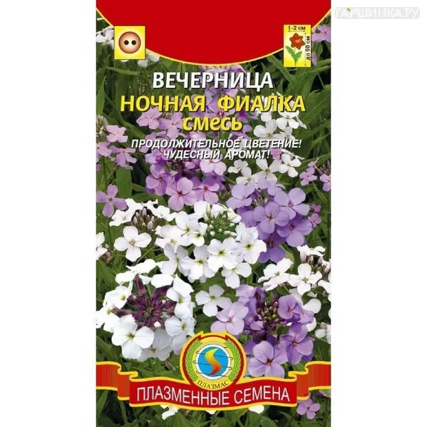 Вечерница ночная фиалка смесь ц.п. 0,2 гр