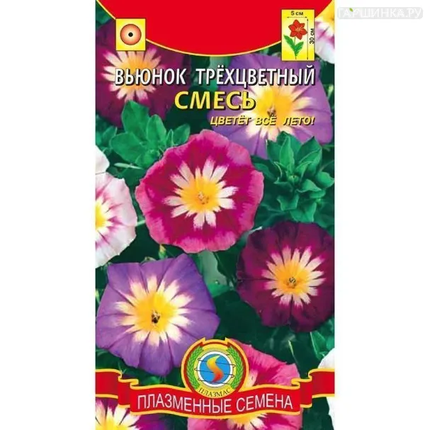 Вьюнок Трехцветный смесь ц.п. 0,5 гр