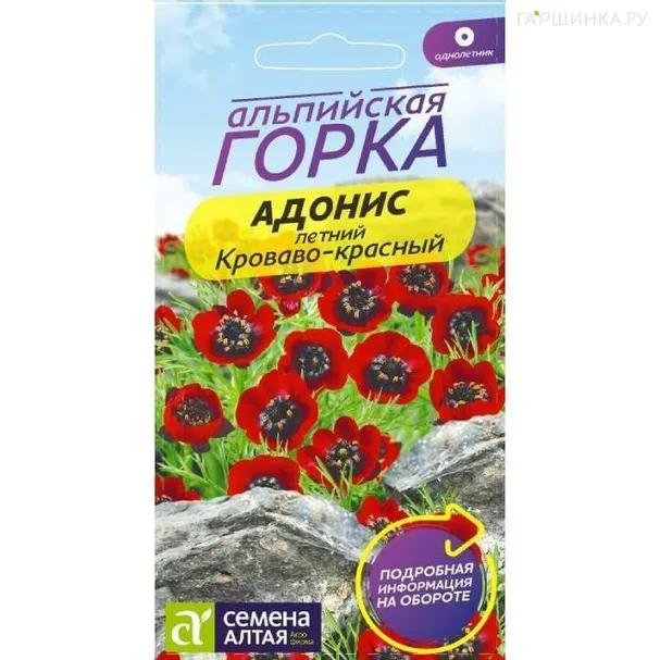 Адонис летний Кроваво-красный  0,2гр ЦП