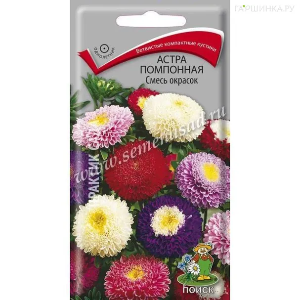 Астра помпонная, смесь окрасок 0,3гр  ЦП